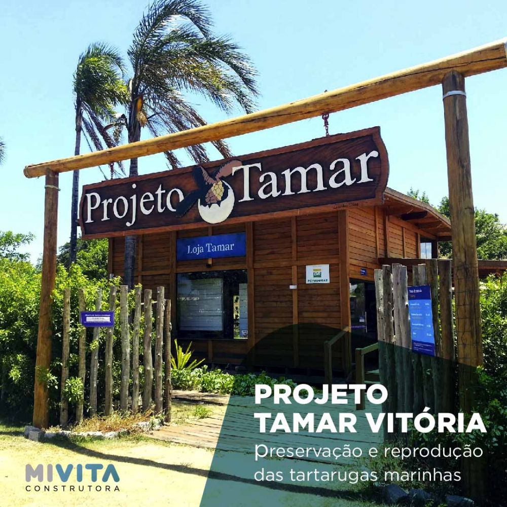 Projeto Tamar Vitória: saiba mais sobre este incrível projeto